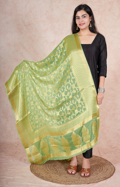 Raina banarsi chiffon dupatta RangrezEthnic Light Green 