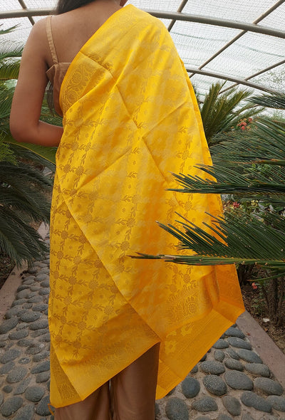 Ruzi banarasi silk dupatta RangrezEthnic 