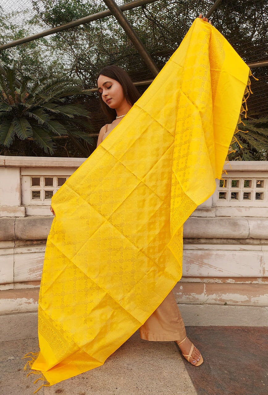 Ruzi banarasi silk dupatta RangrezEthnic 